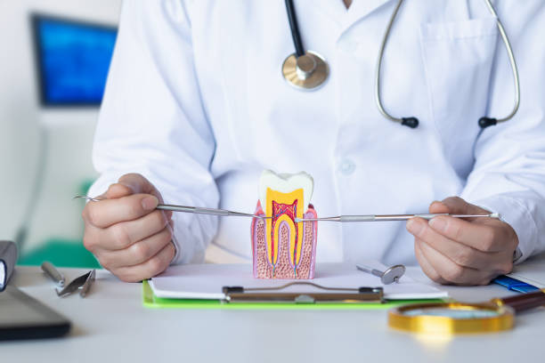 Best Walk-In Emergency Dentist in Jonesville, MI